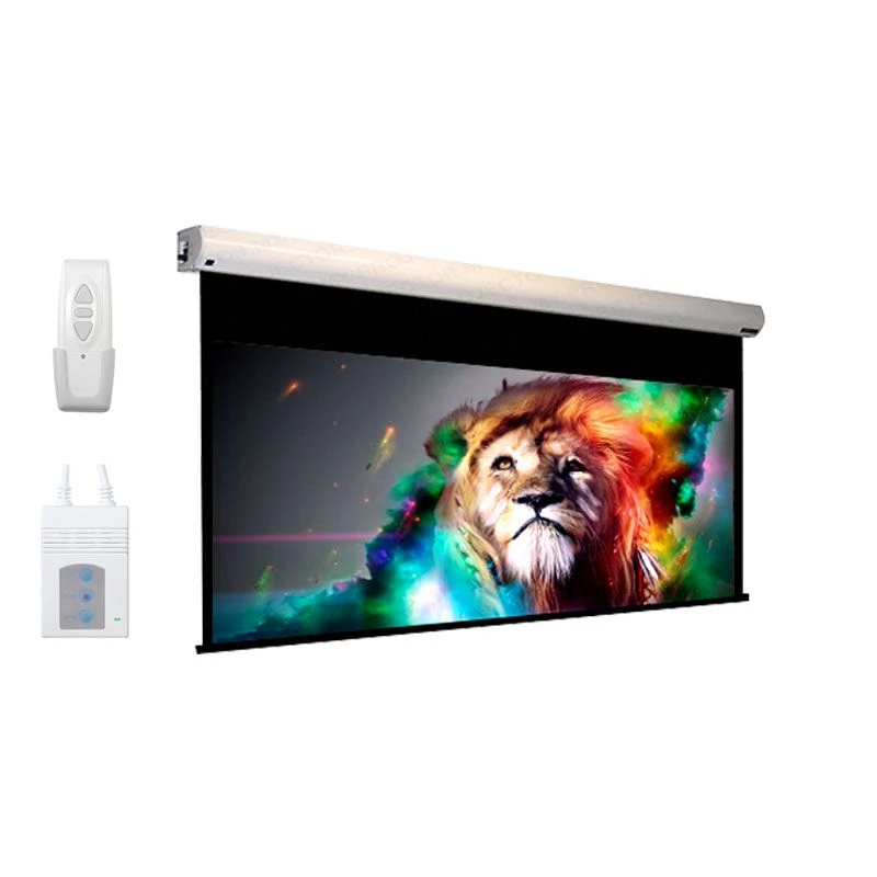 Dopah D-ELC-16FX16F 192 Inch x 192 Inch Motorized Projection Screen