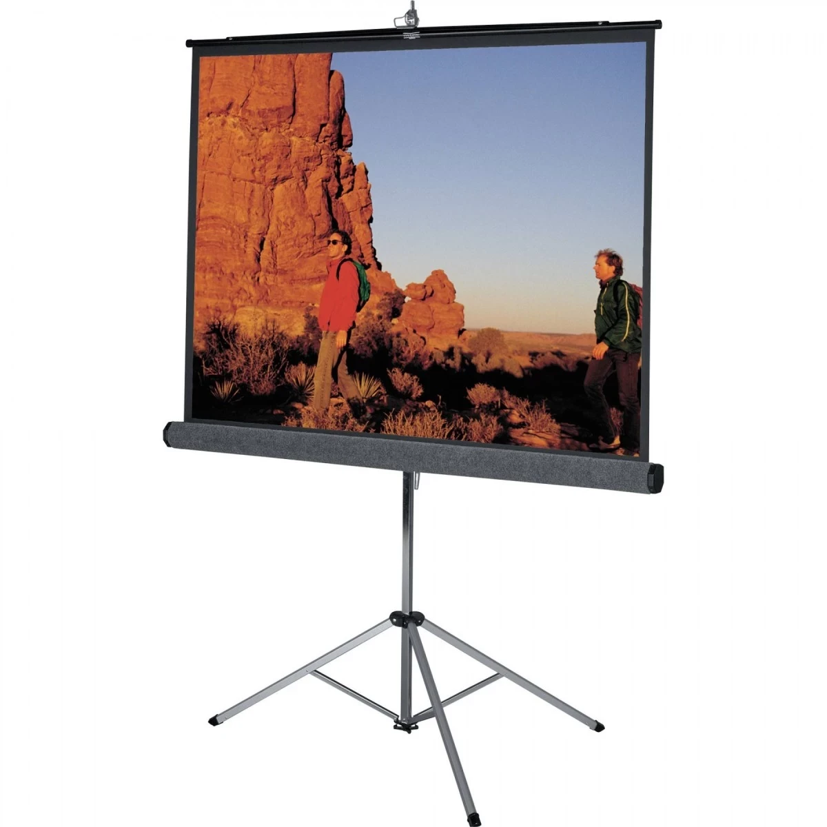 Super View 70 Inch x 70 Inch Tripod Projector Screen