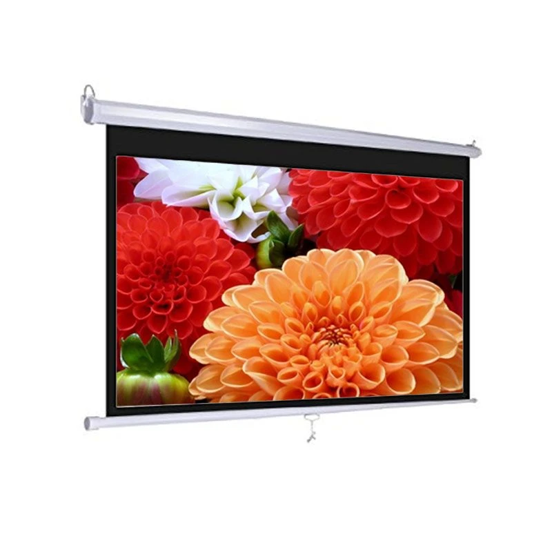 Dopah 70 Inch x 70 Inch Matte White Electric Wall Projector Screen